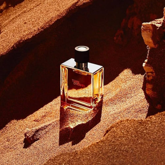 Hermes Terre D'Hermes Eau De Toilette For Men • 100ml