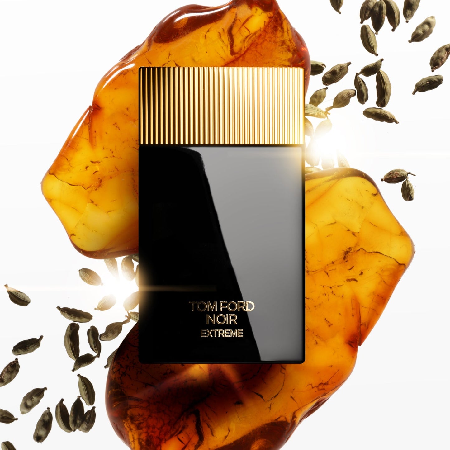 Tom F*rd Noir EDP Extreme • 100ml
